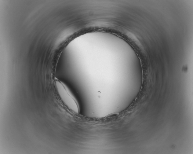 X0000090450872200707272213