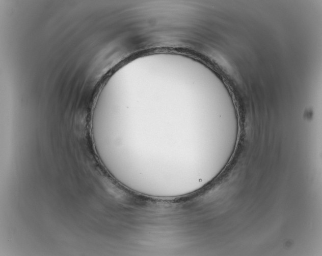 X0000090450873200707272213