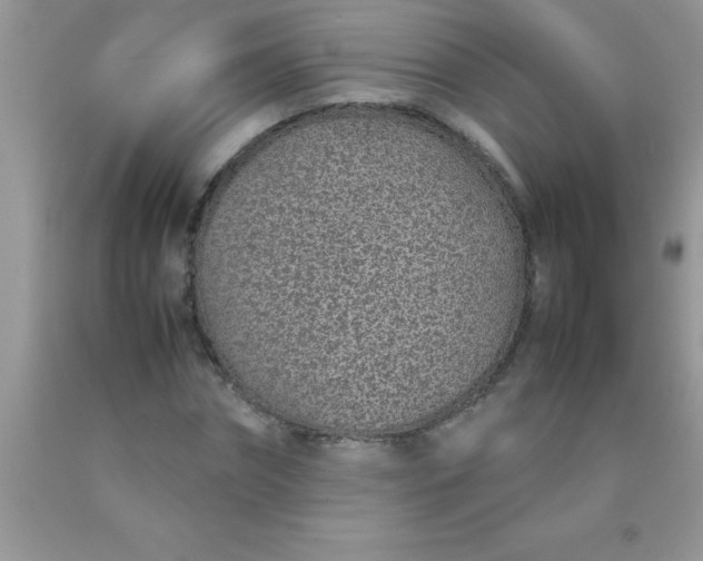 X0000090450874200707272213