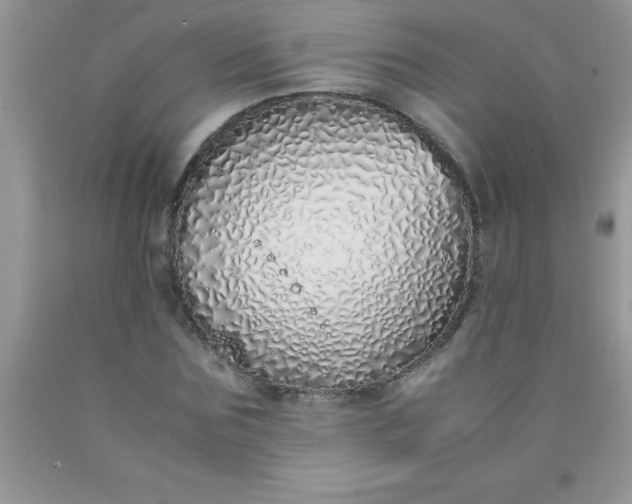 X0000090450875200707272213