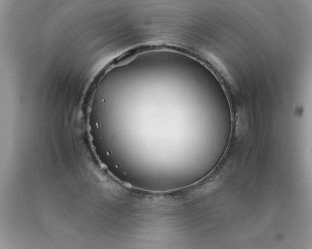 X0000090450876200707272213