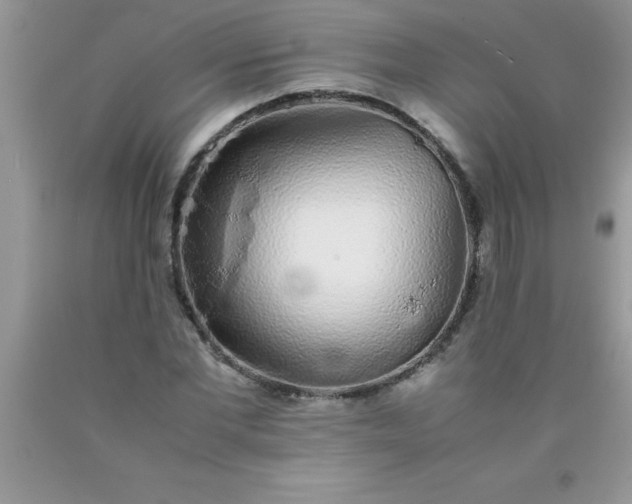 X0000090450877200707272213