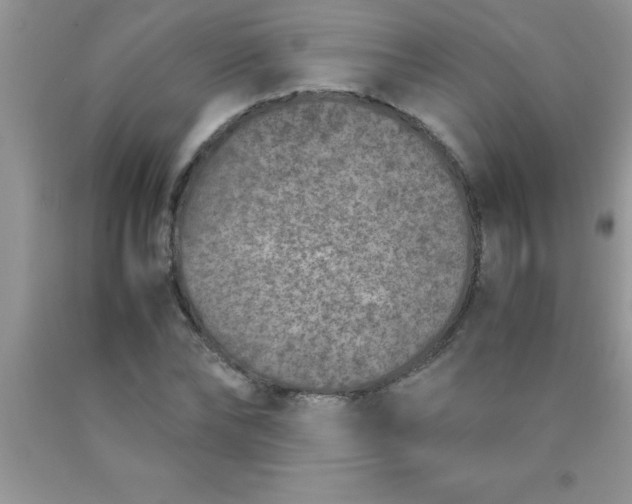 X0000090450878200707272213