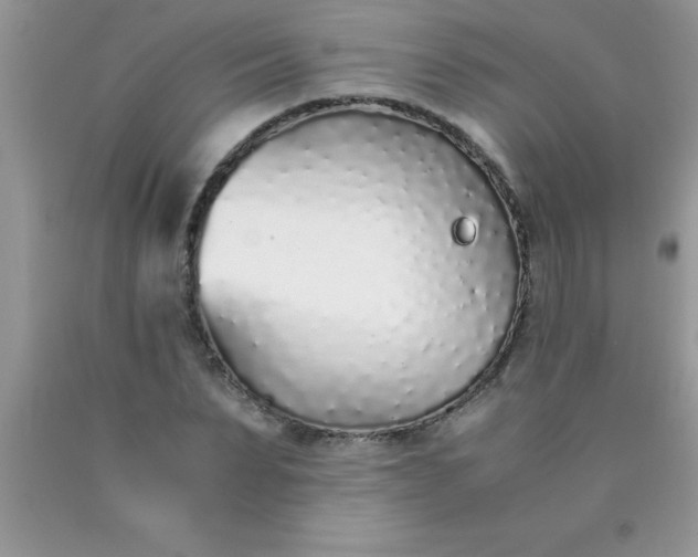 X0000090450879200707272213