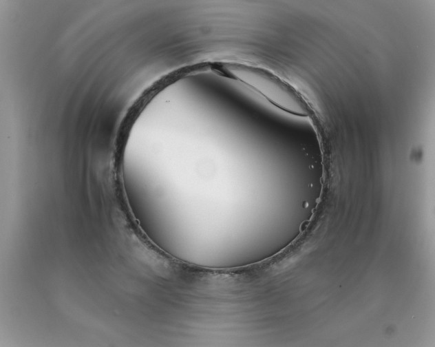 X0000090450880200707272213