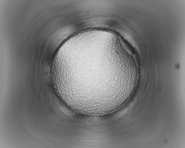 X0000090450881200707272213