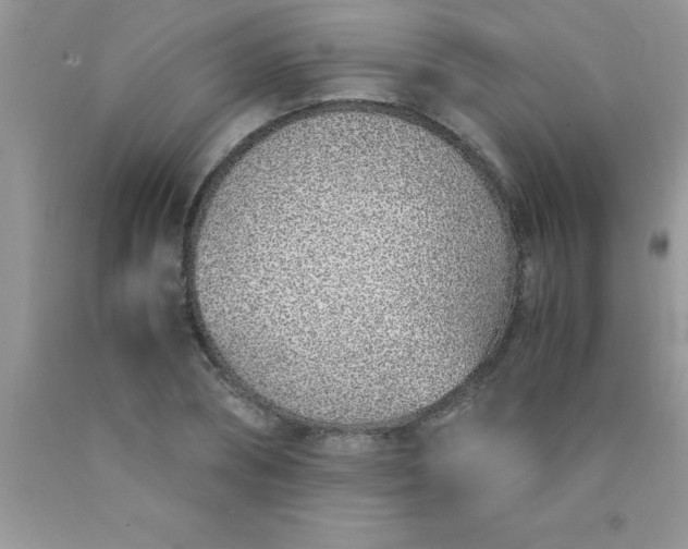 X0000090450882200707272213