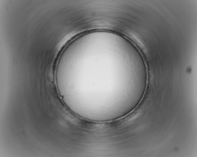 X0000090450883200707272213