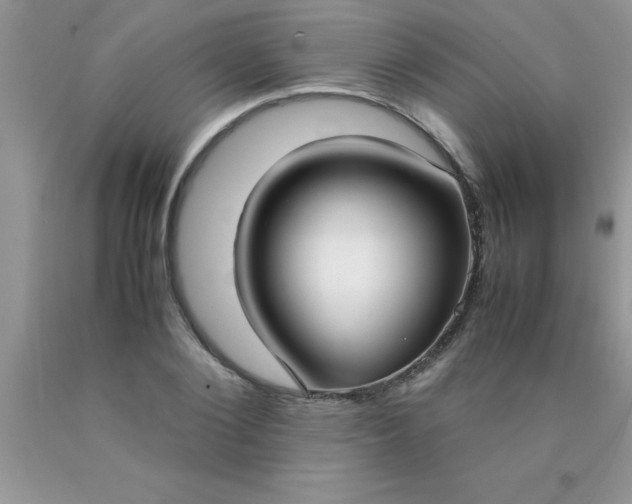 X0000090450884200707272213