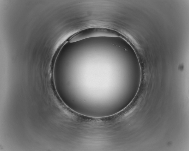 X0000090450885200707272213