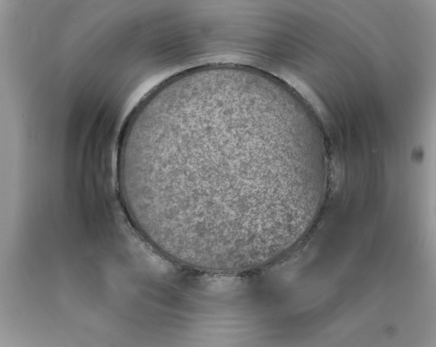 X0000090450886200707272213