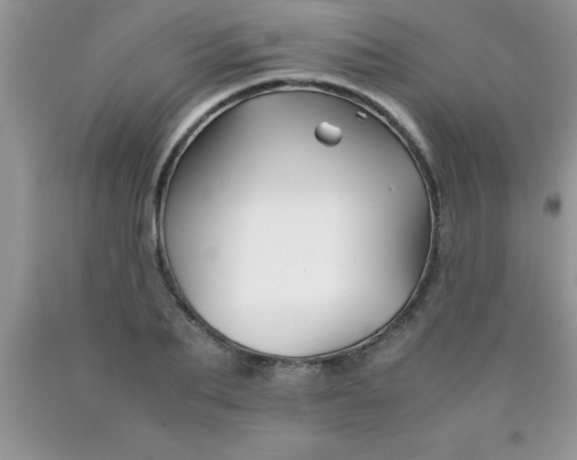 X0000090450887200707272213