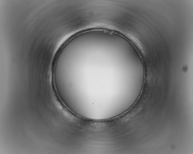 X0000090450888200707272213