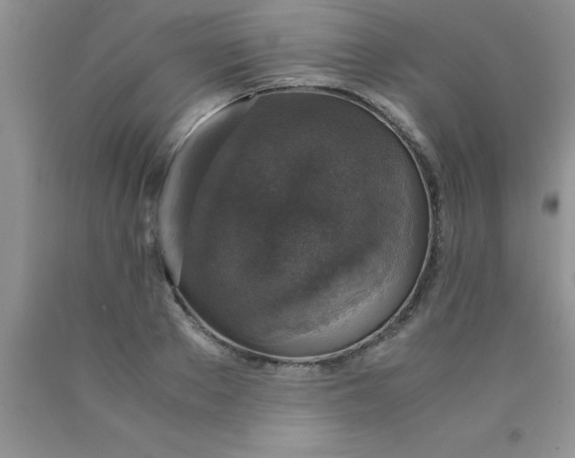 X0000090450889200707272213