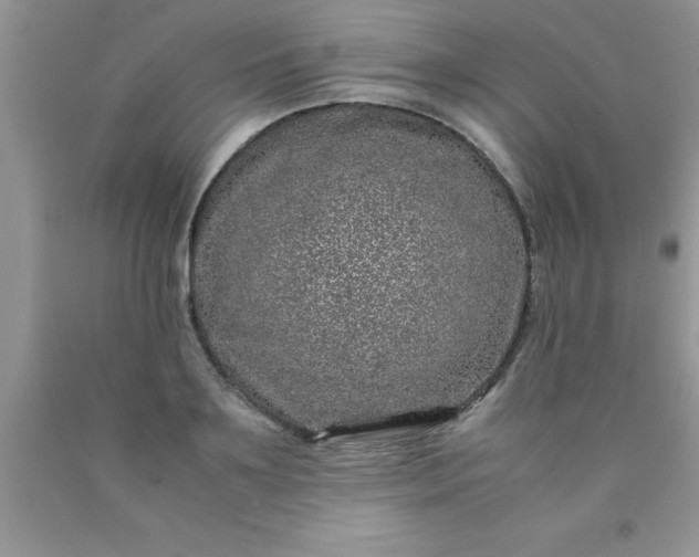 X0000090450891200707272213