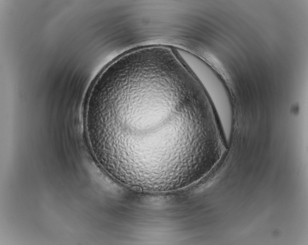 X0000090450892200707272213