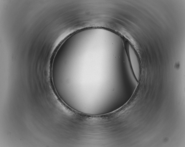 X0000090450894200707272213