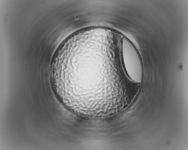 X0000090450895200707272213