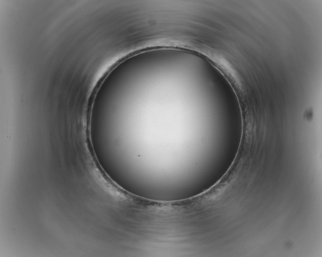 X0000090450896200707272213