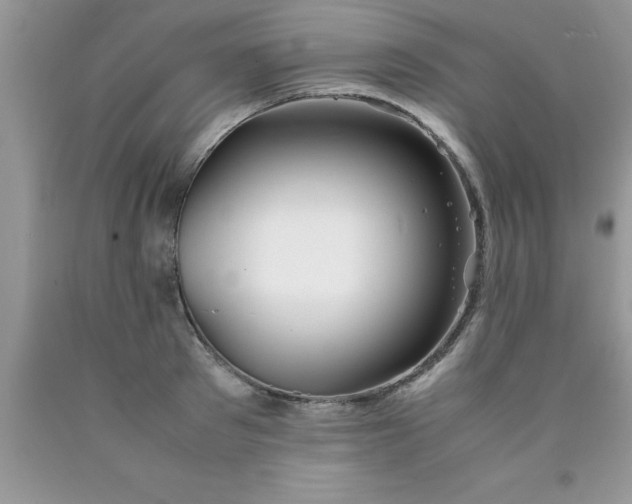 X0000090450897200707272213