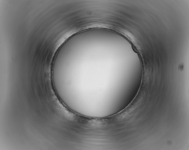 X0000090450898200707272213