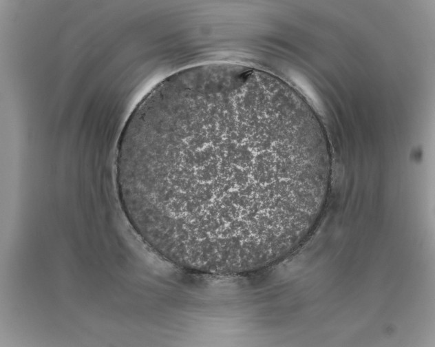 X0000090450899200707272213