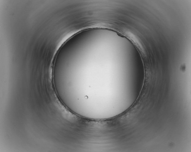 X0000090450900200707272213