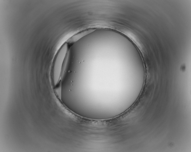 X0000090450901200707272213