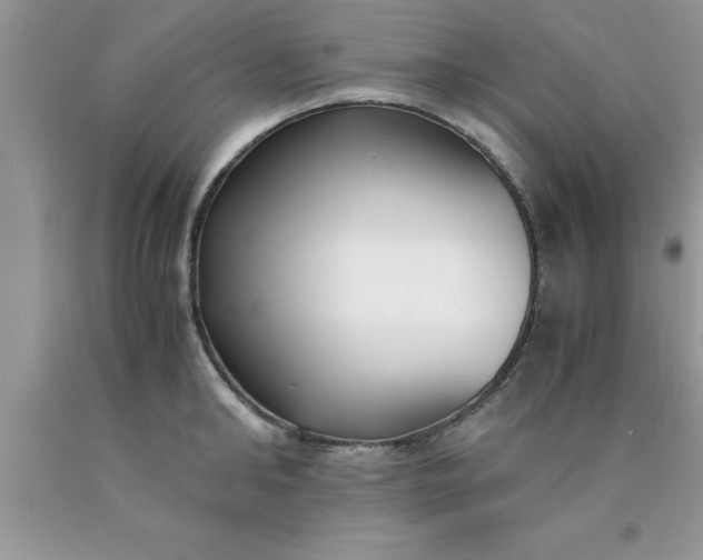 X0000090450902200707272213