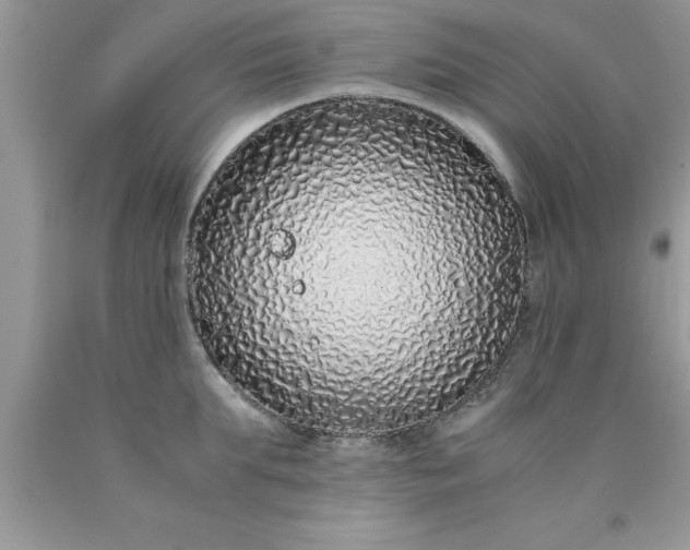 X0000090450903200707272213