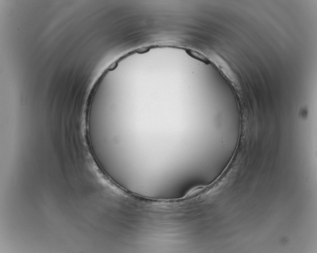 X0000090450904200707272213