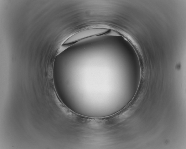 X0000090450905200707272213