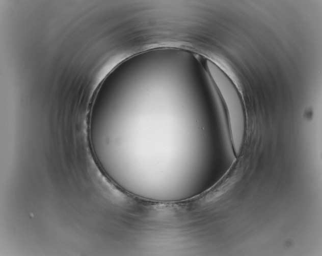 X0000090450906200707272213