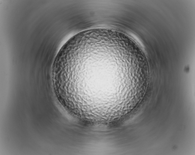 X0000090450907200707272213