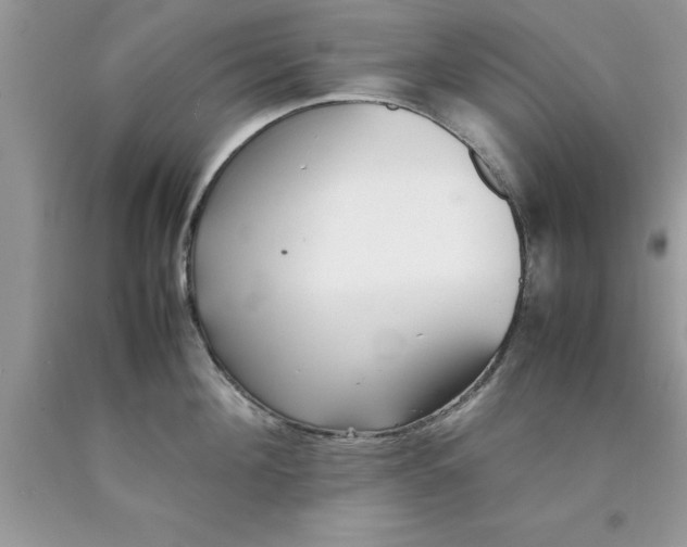 X0000090450908200707272213