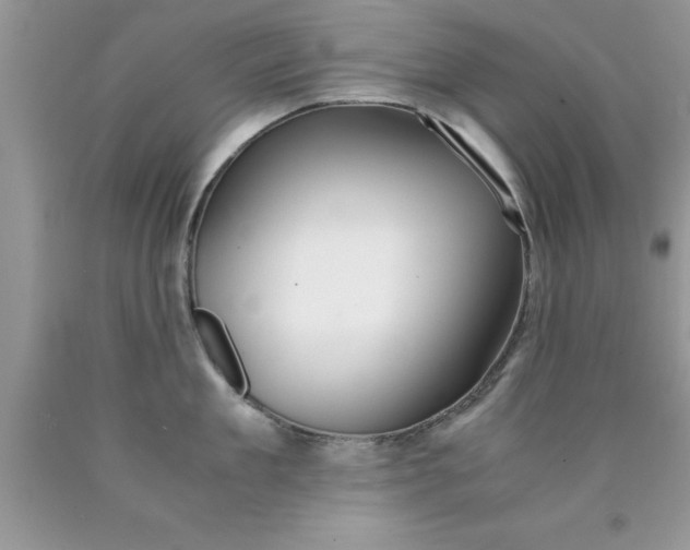 X0000090450909200707272213