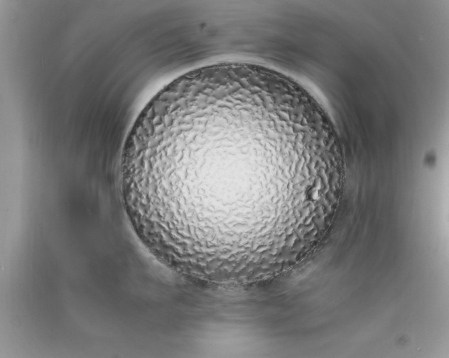 X0000090450911200707272213