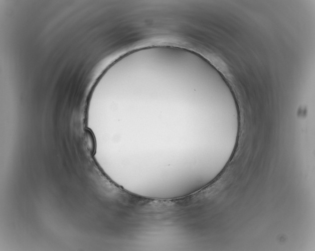 X0000090450912200707272213