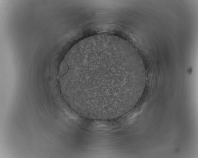 X0000090450913200707272212