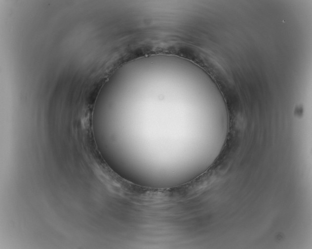 X0000090450914200707272212