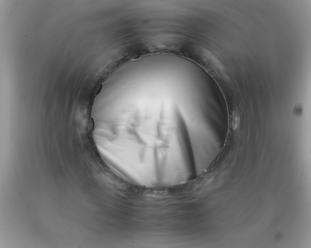 X0000090450915200707272212