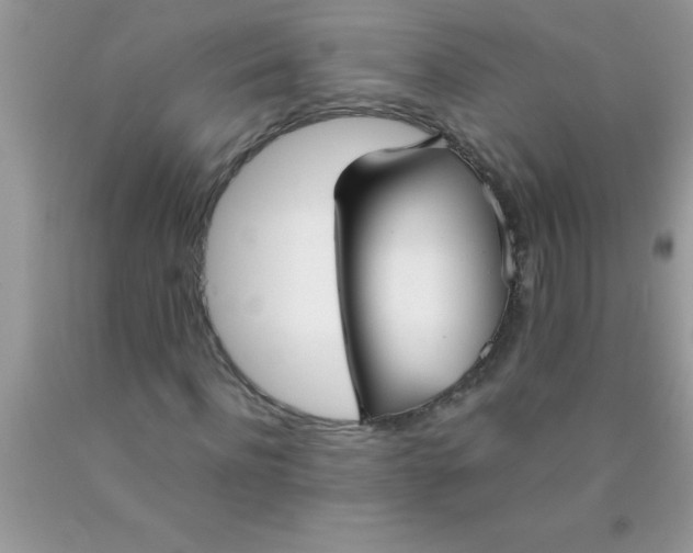 X0000090450916200707272212