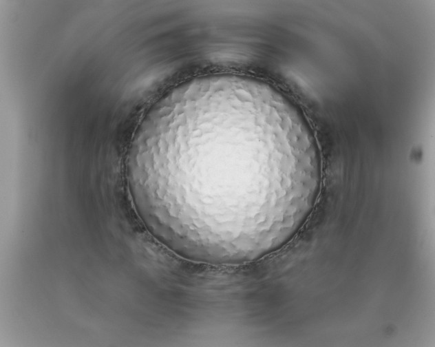 X0000090450917200707272212