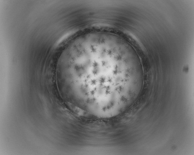 X0000090450919200707272212