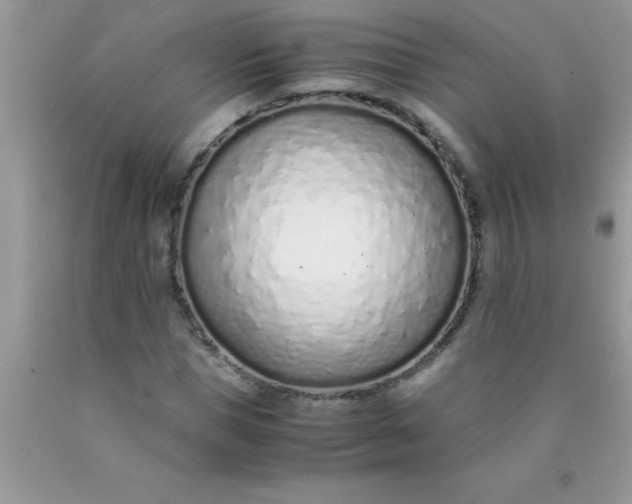 X0000090450921200707272212