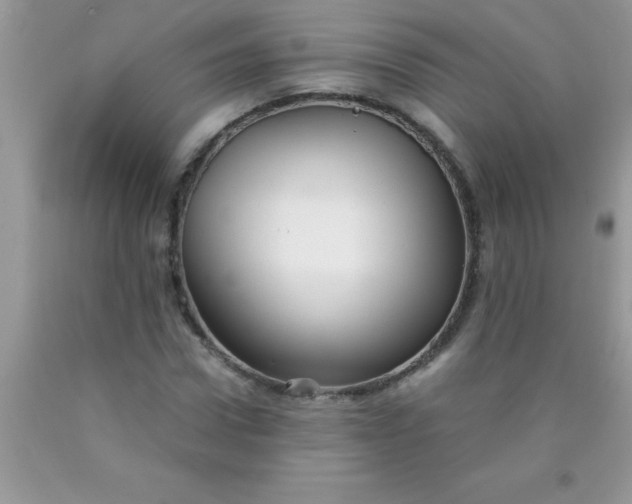 X0000090450922200707272212