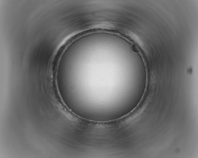 X0000090450923200707272212