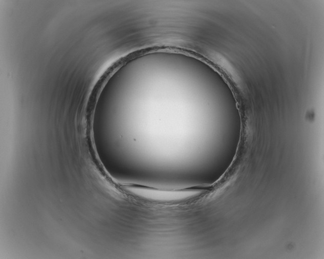 X0000090450924200707272212