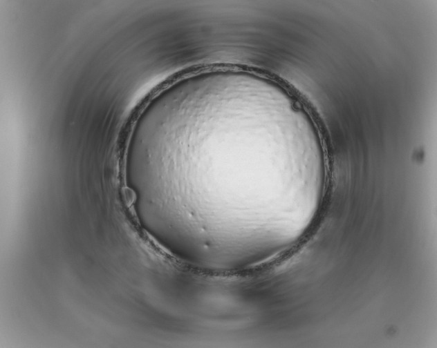 X0000090450925200707272212