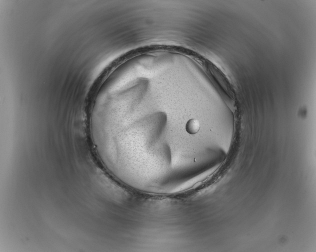 X0000090450926200707272212